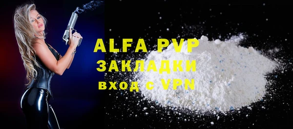 стаф Богданович