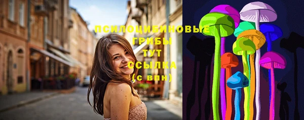 стаф Богданович