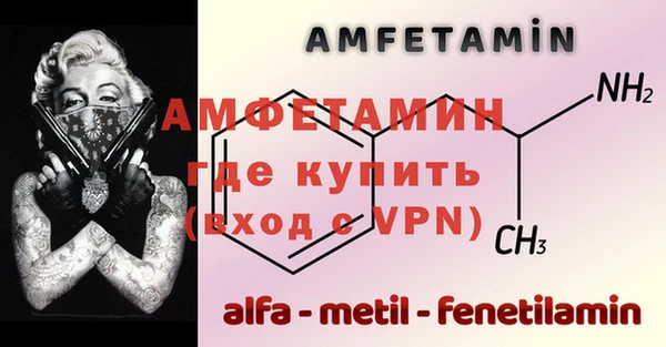 стаф Богданович