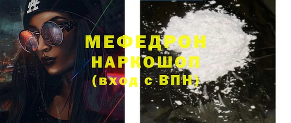 стаф Богданович