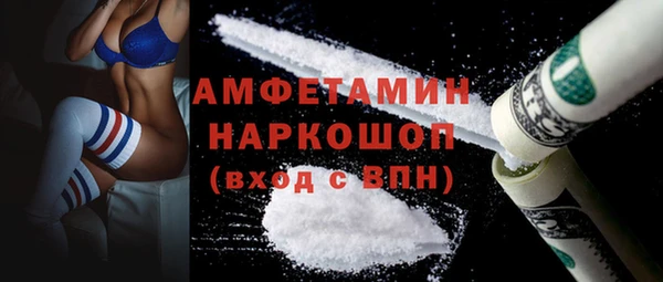 стаф Богданович