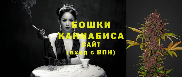 дмт Богородск
