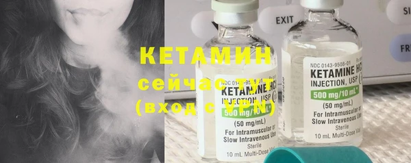 стаф Богданович