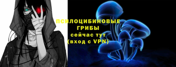 дмт Богородск