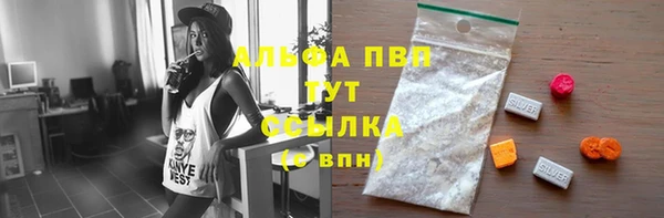 mdpv Богородицк