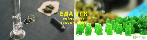 mdpv Богородицк