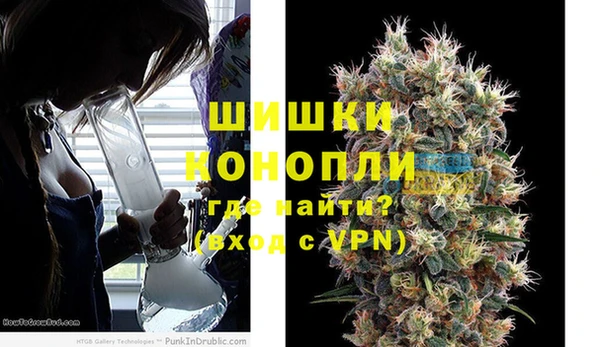 дмт Богородск