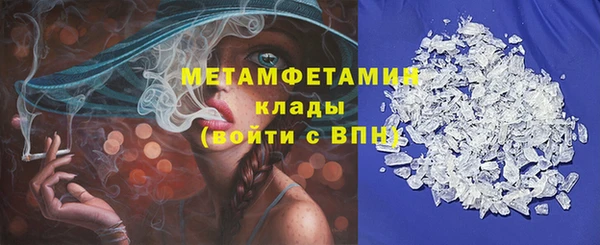 индика Сатка