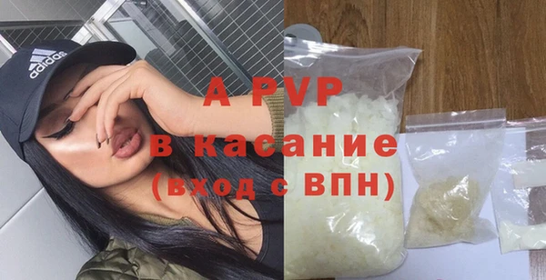 стаф Богданович