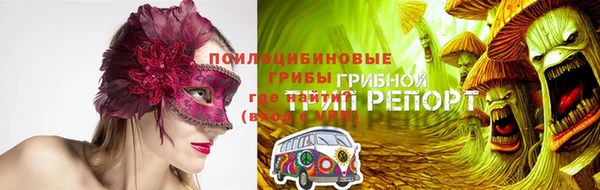 дмт Богородск