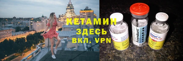 стаф Богданович